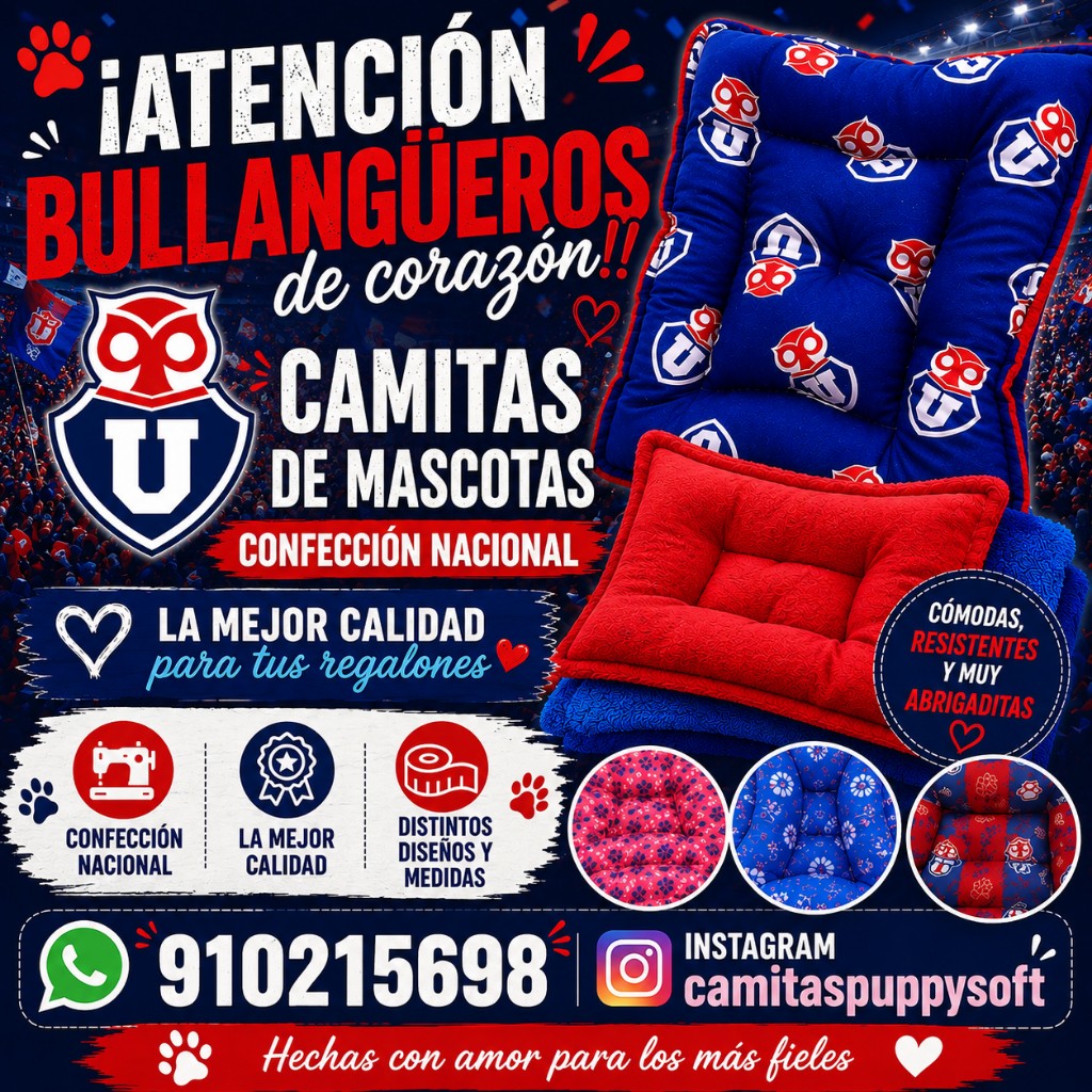 Camiseta mascotas azul