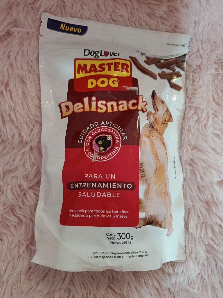 Master Dog Delisnack entrenamiento