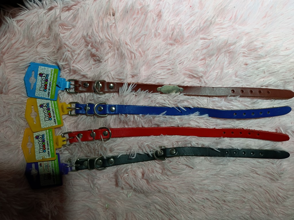 Buddy collar de cuero ajustable