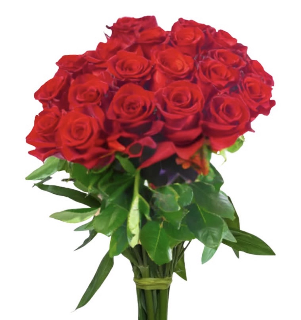 Red Roses (½ Dozen)
