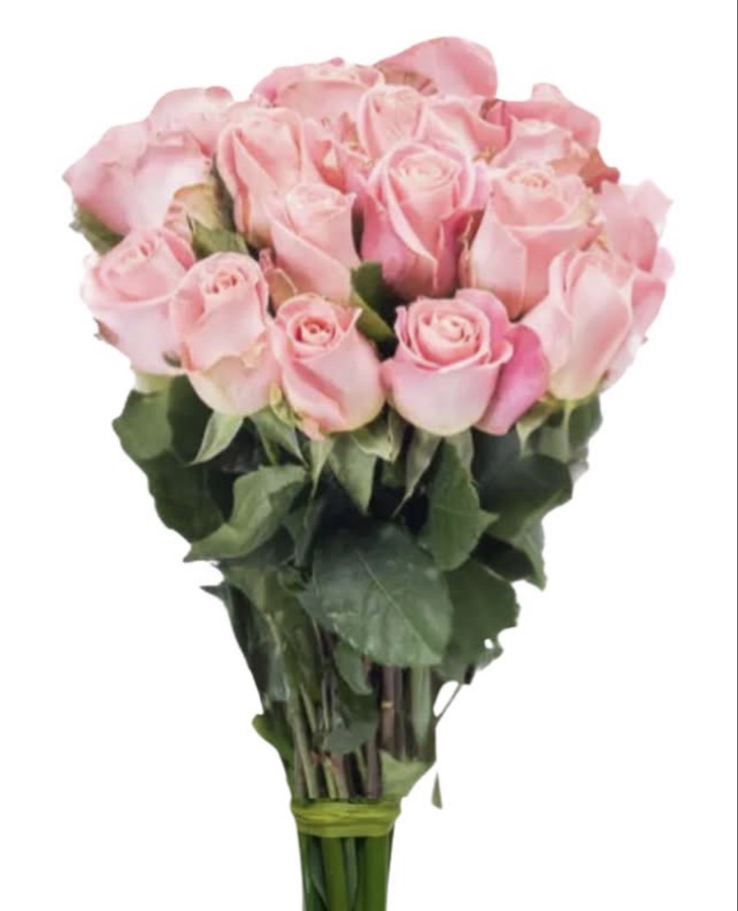 Pink Roses (½ Dozen)
