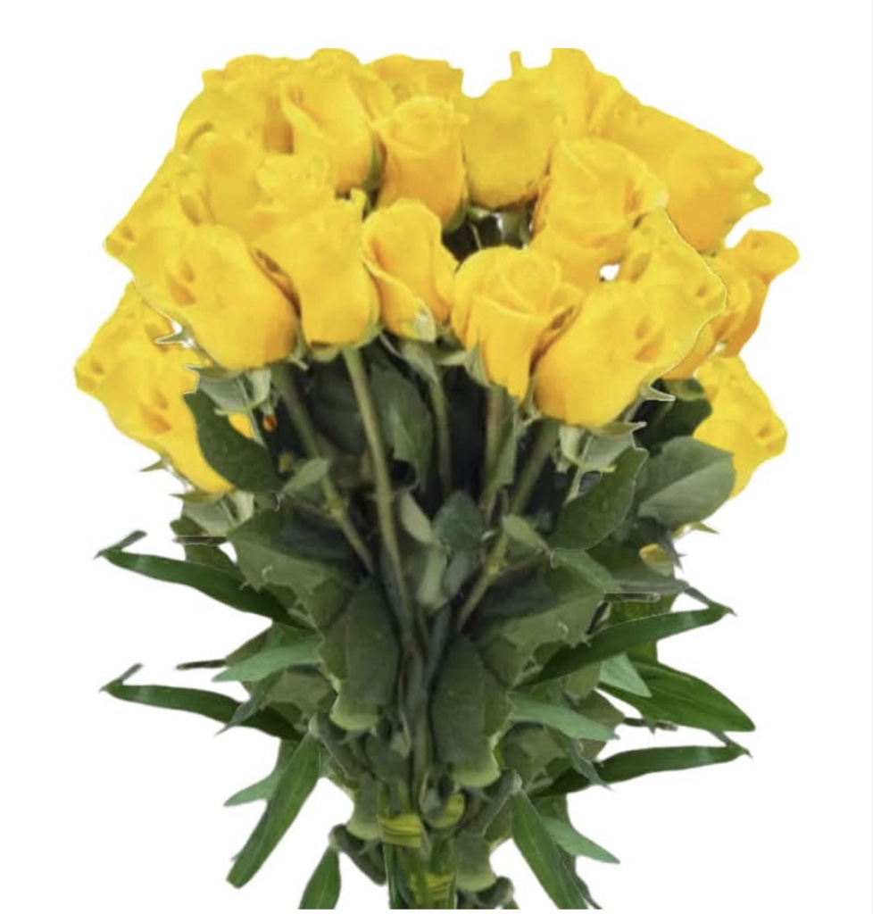 Yellow Roses (2 Dozen)