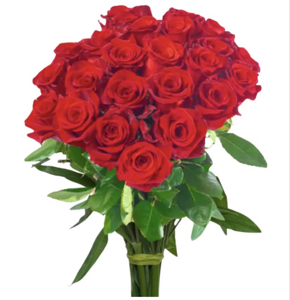 Red Roses (1 Dozen)