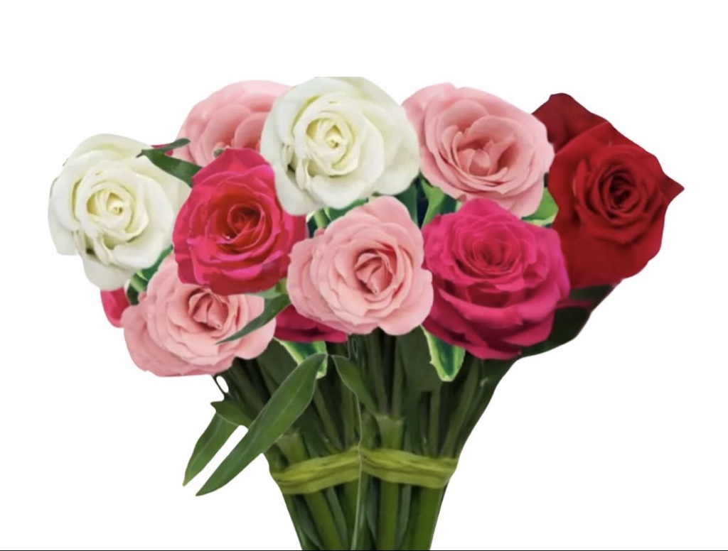 Assorted Roses (2 Dozen)