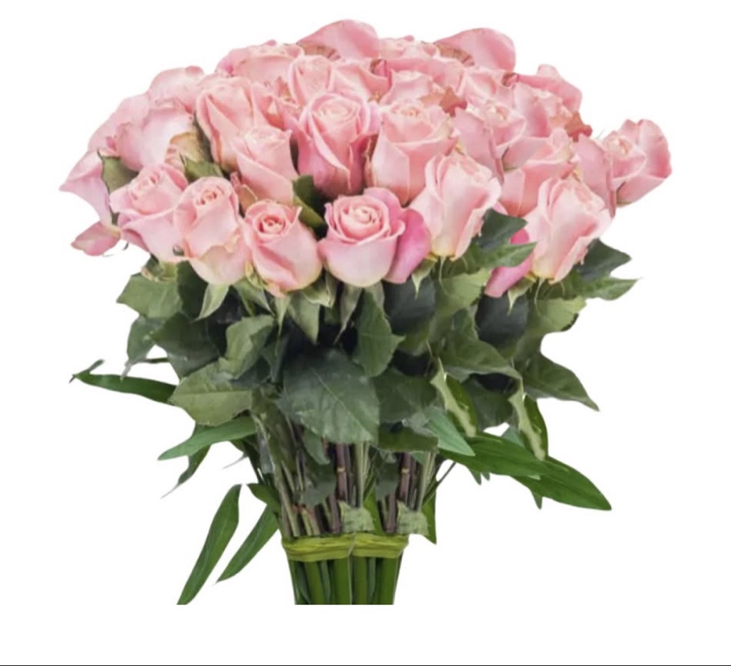 Pink Roses (2 Dozen)