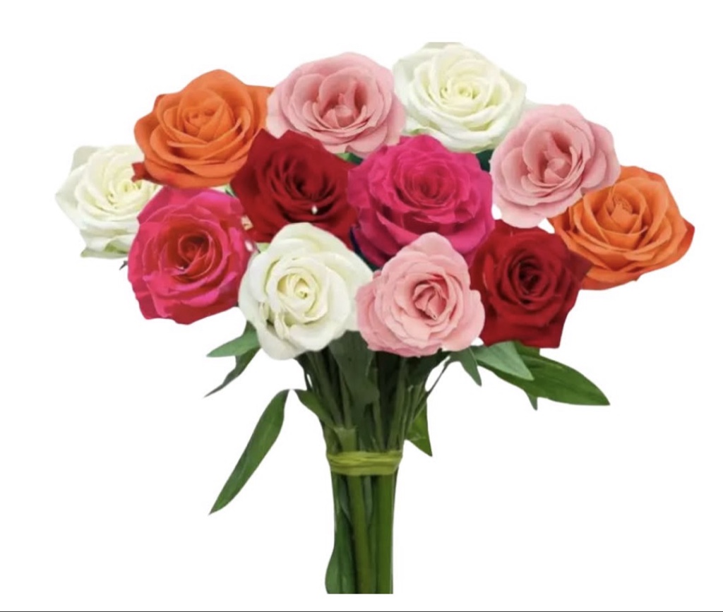 Assorted Roses (1 Dozen)
