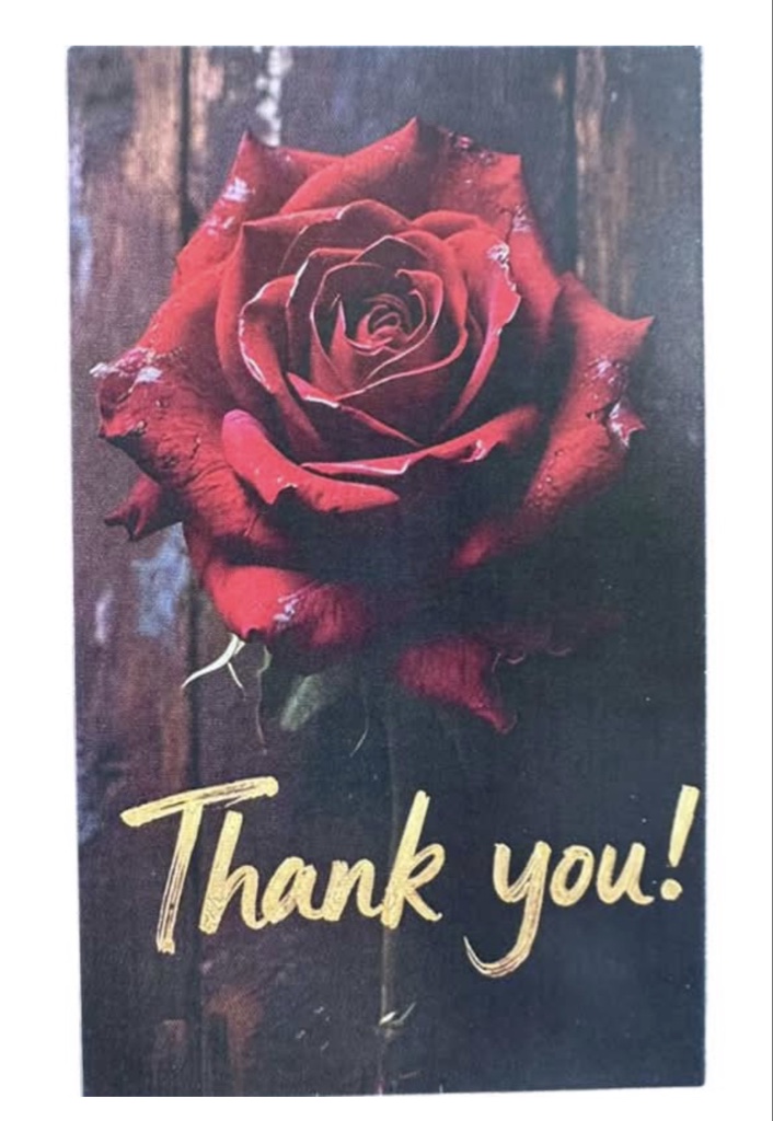 Red Rose Thank You Greeting Card (1 Each)