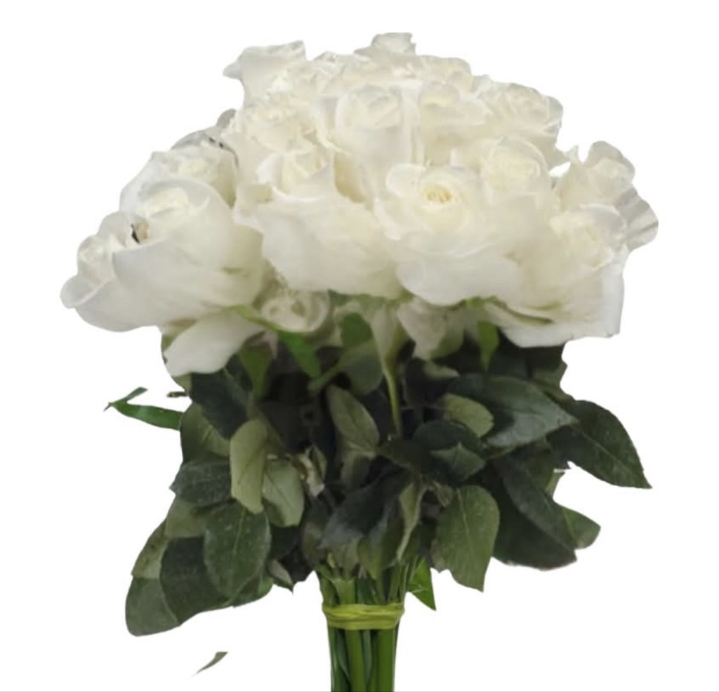 White Roses (½ Dozen)