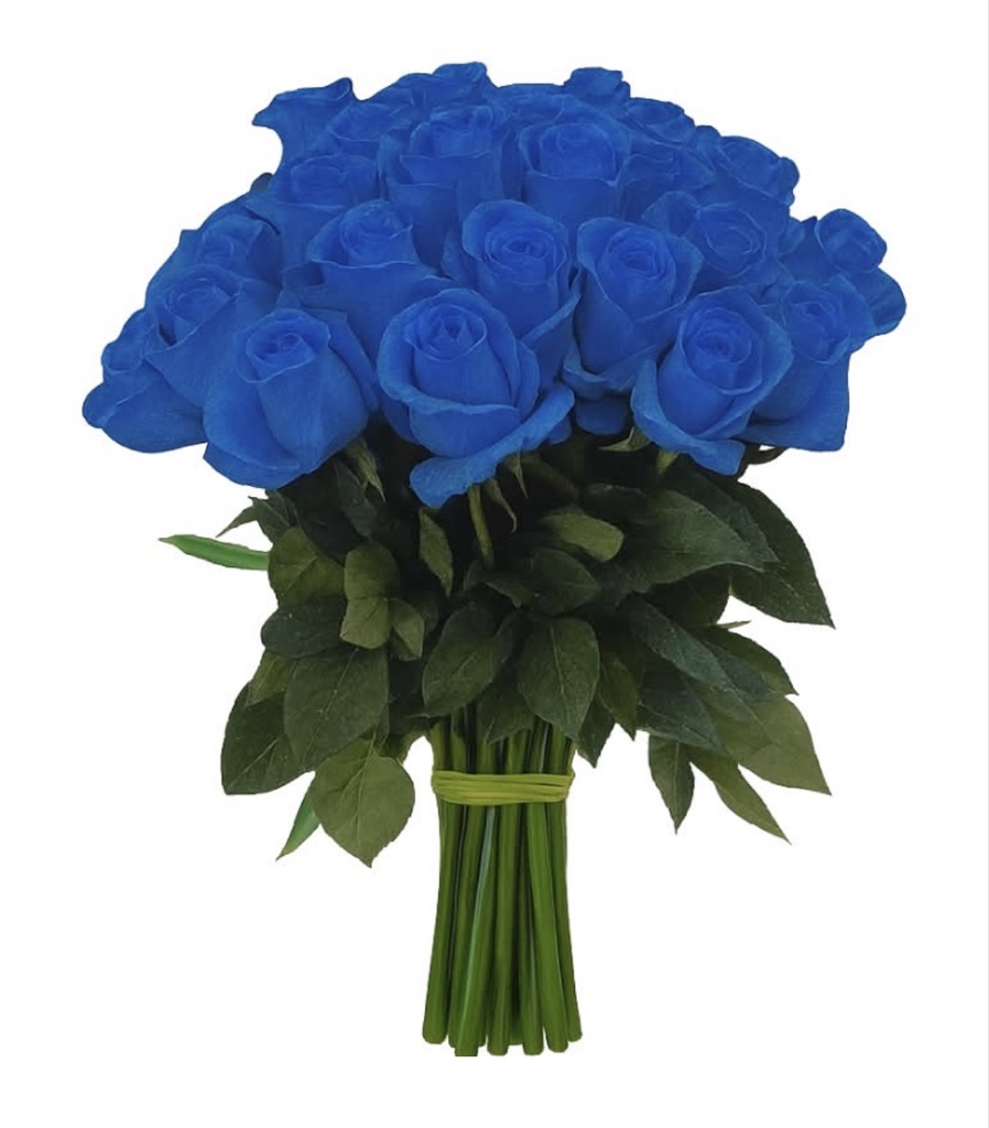 اللات Blue Roses (2 Dozen)