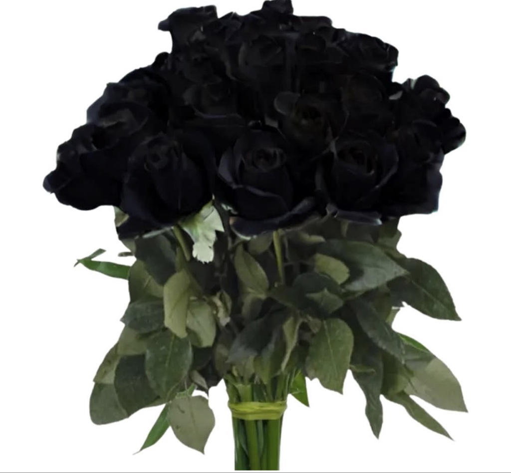 Black Roses (½ Dozen)