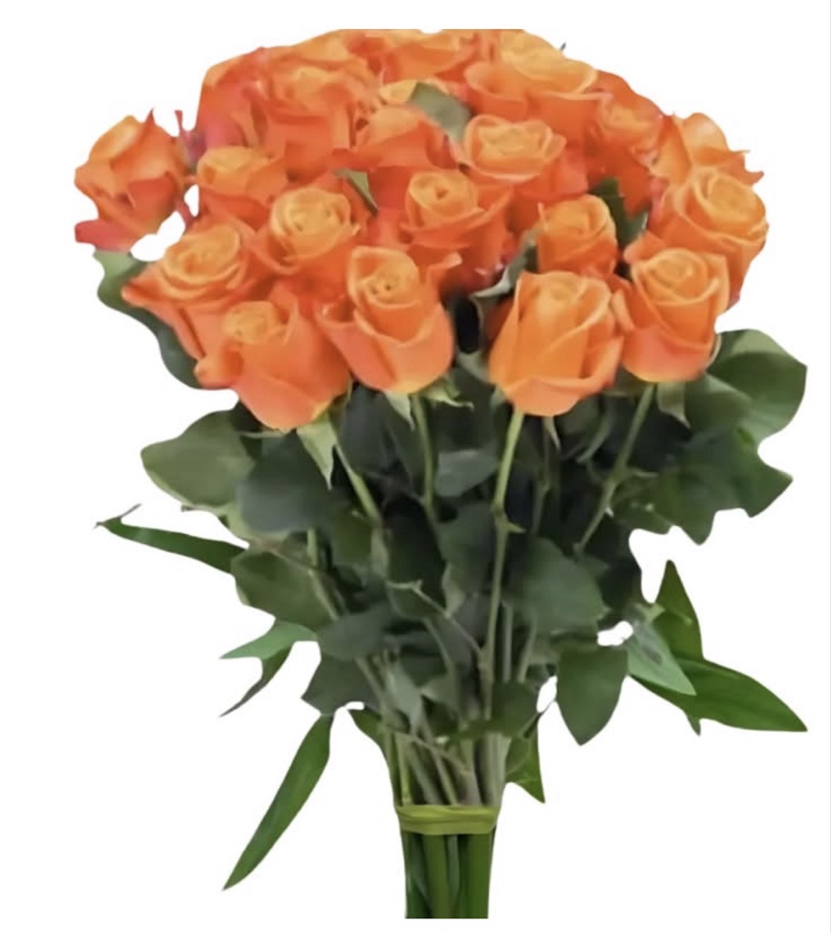 Orange Roses (1 Dozen)