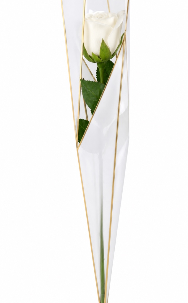 Single Rose Wrapped Bouquet (White  Rose, Greenery, Nylon Wrapped)