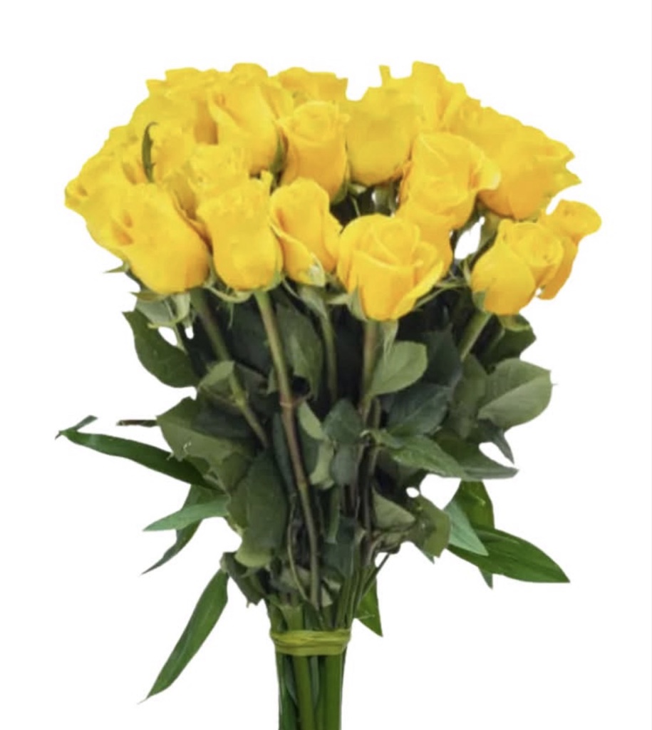 Yellow Roses (1 Dozen)
