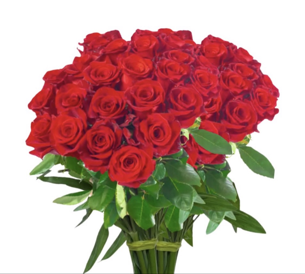Red Roses (2 Dozen)