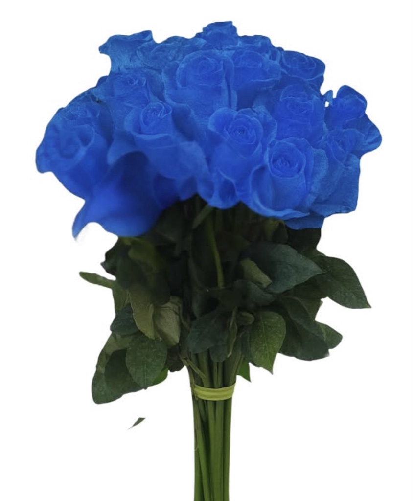 Blue Roses (½ Dozen)