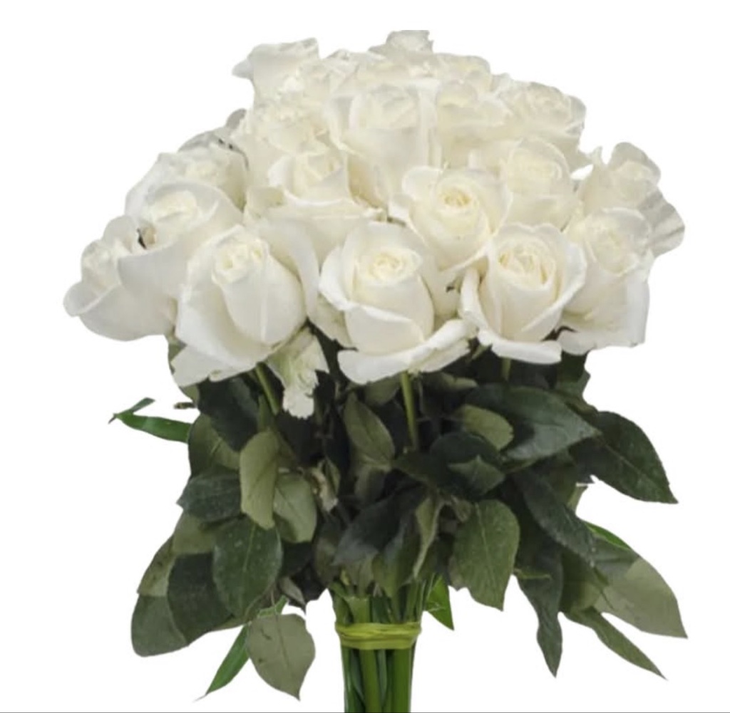 White Roses (1 Dozen)