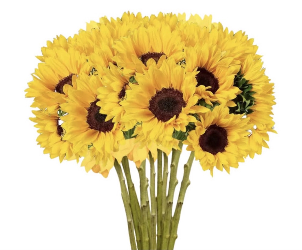 Sunflowers bouquet (20 stems)