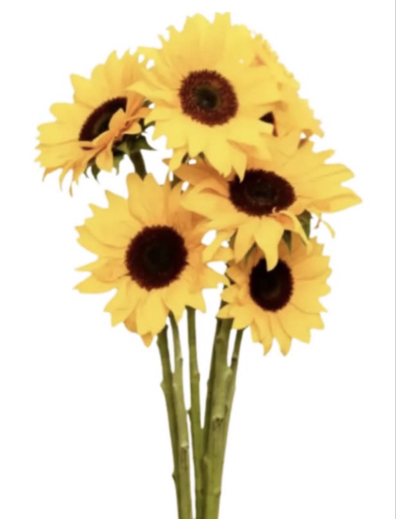 Sunflower Bouquet ( 5 stems )