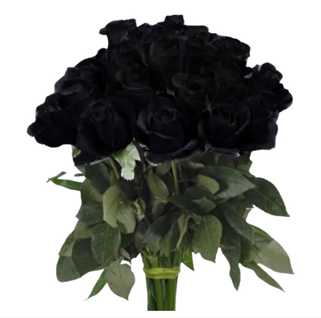 Black Roses (2 Dozen)