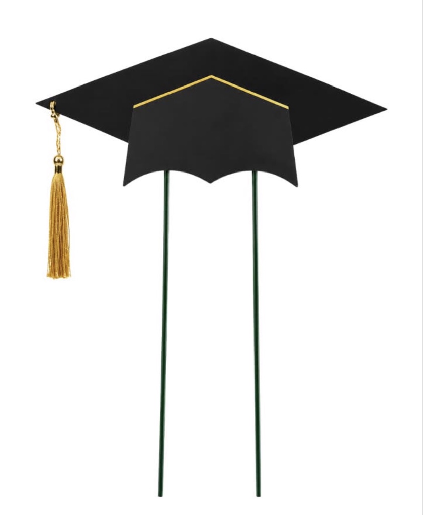 Graduation Stick Hat Black (Large) (1 Each)