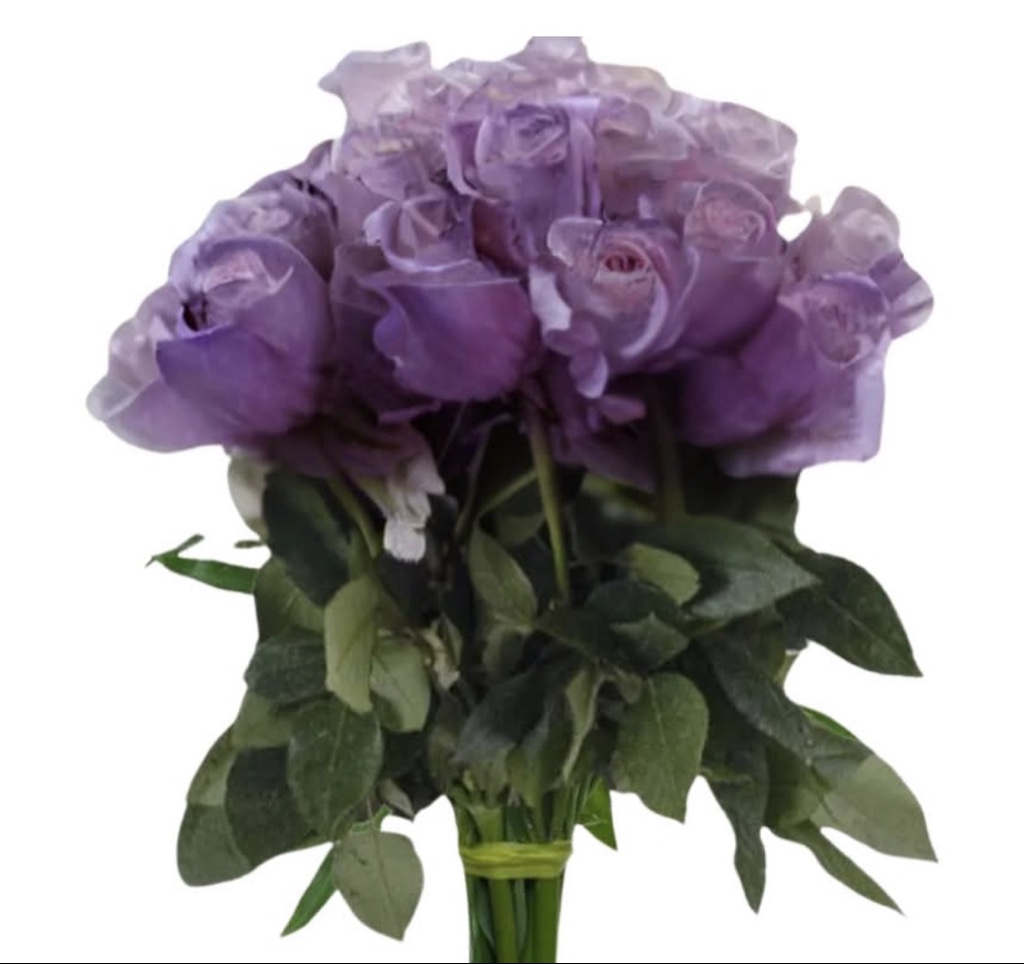 Purple Roses (½ Dozen)