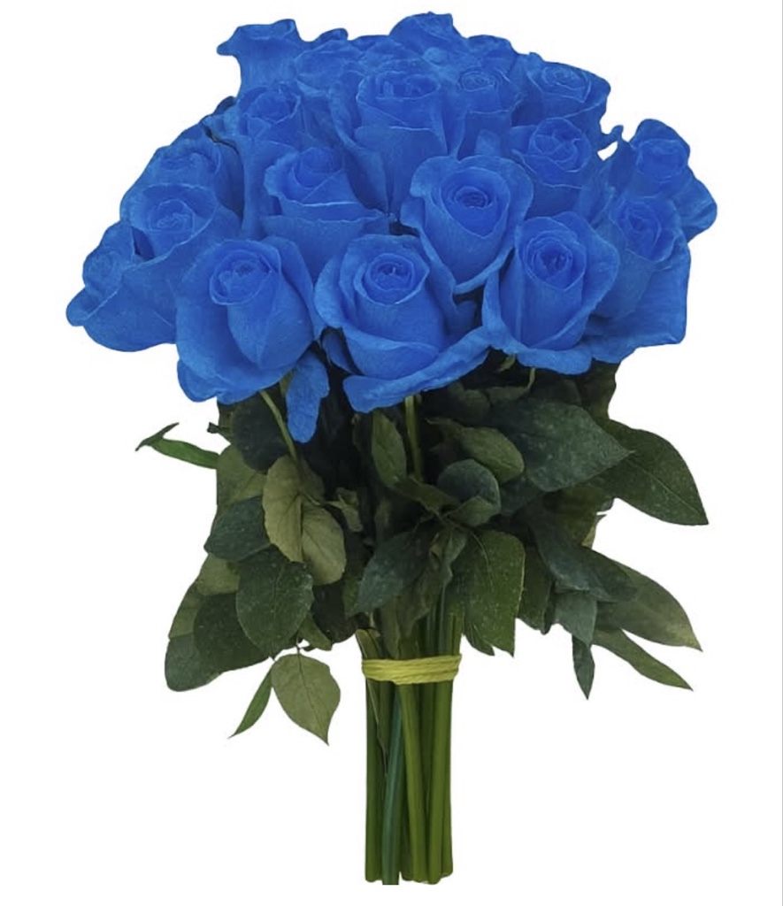 Blue Roses (1 Dozen)
