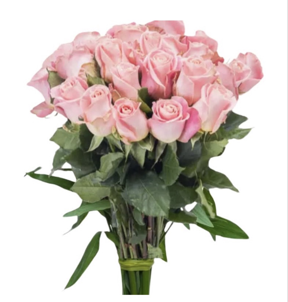 Pink Roses (1 Dozen)