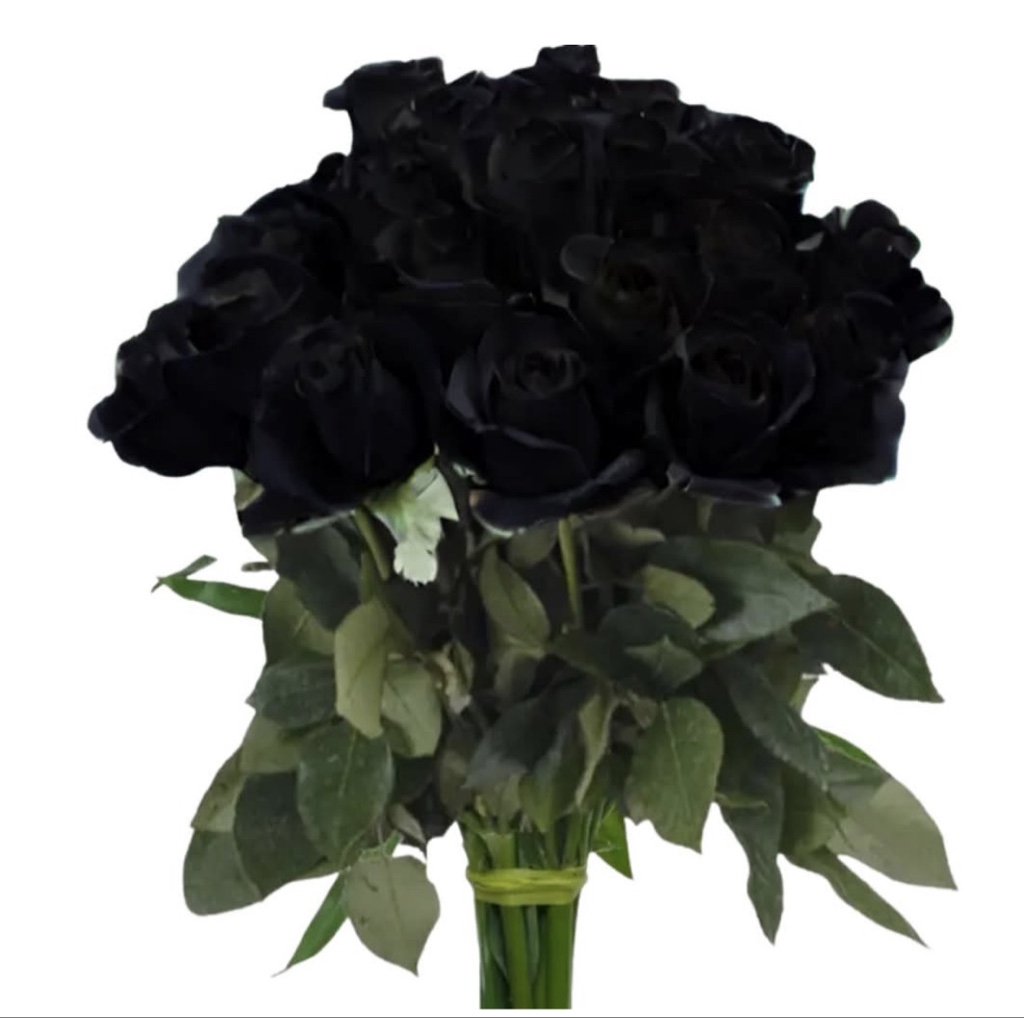 Black Roses (1 Dozen)
