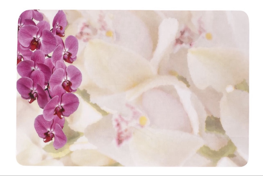 Orchid Card (1 Each)