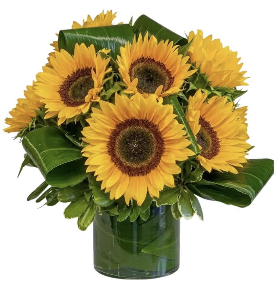 Sunflowers Arrangement (Sunflowers, Greenery in a Glass Vase)