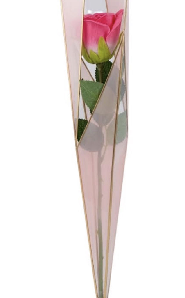Single Rose Wrapped Bouquet (Pink  Rose, Greenery, Nylon Wrapped)
