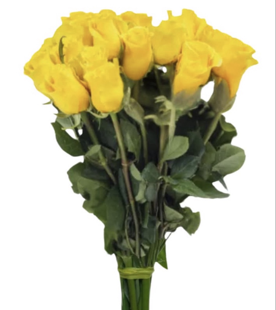 Yellow Roses (½ Dozen)