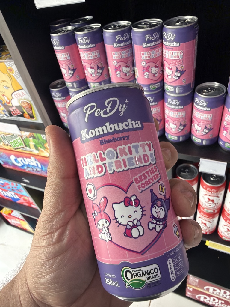 Kombucha Blueberry zero açúcar
