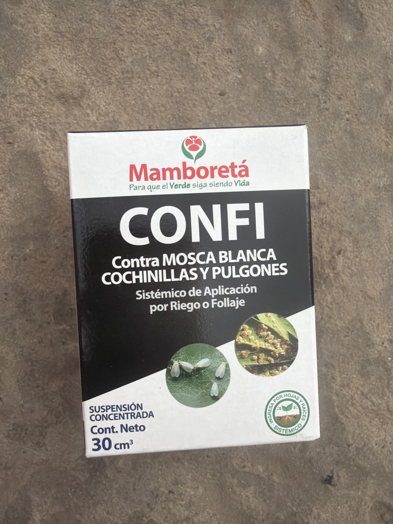 Mamboretta CONFI