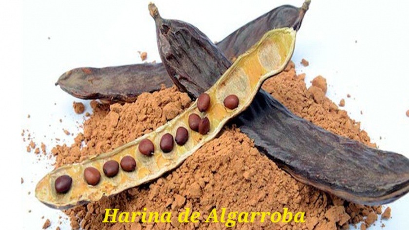 Harina de algarroba