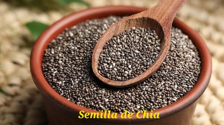 Semilla de Chia
