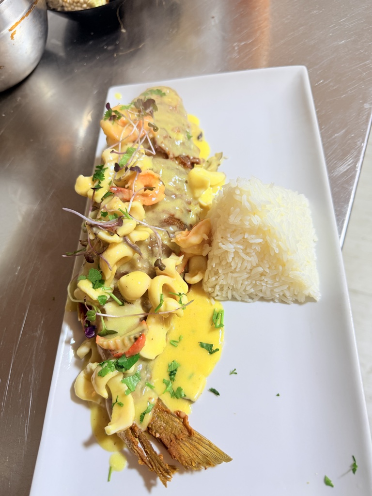 Corvina ala bechamel