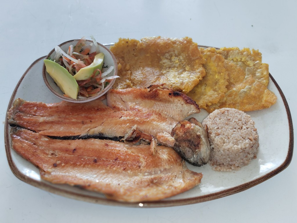Trucha al ajillo