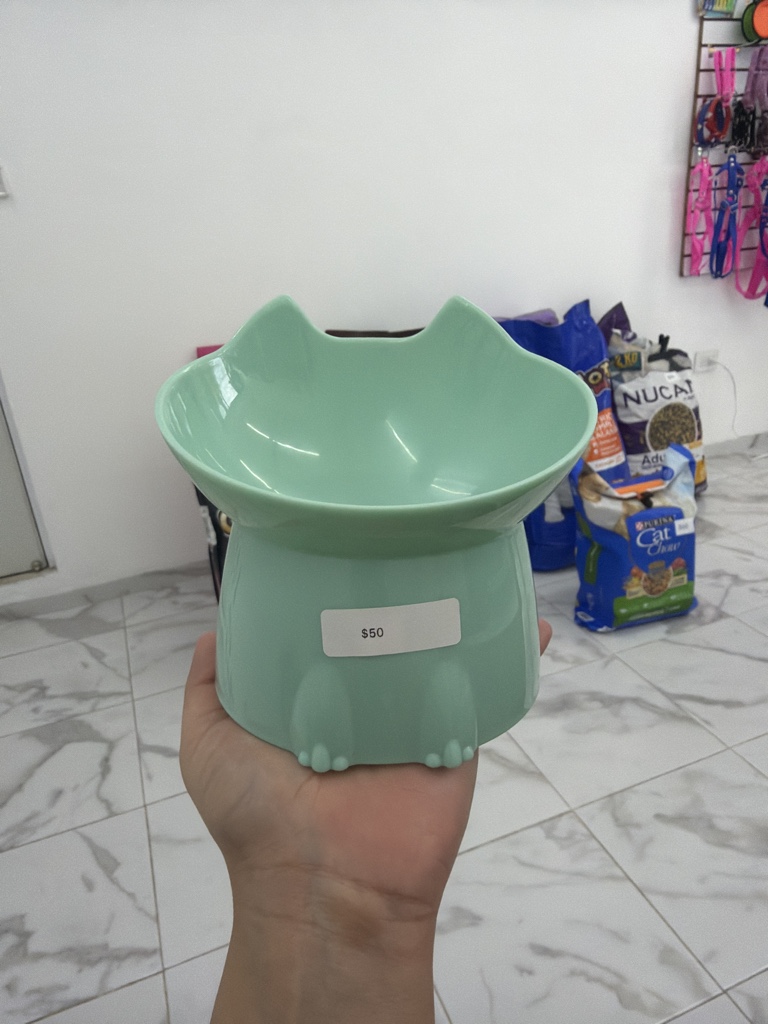 Platito verde de gato