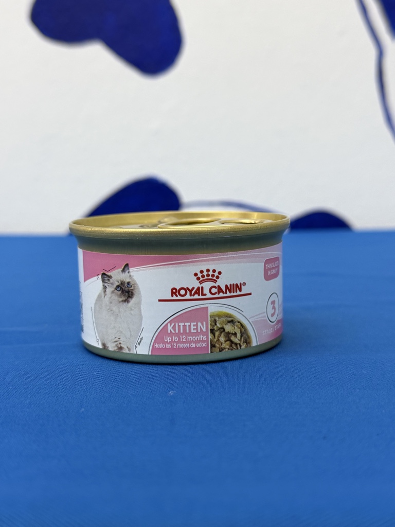 LATA KITTEN (85gr)