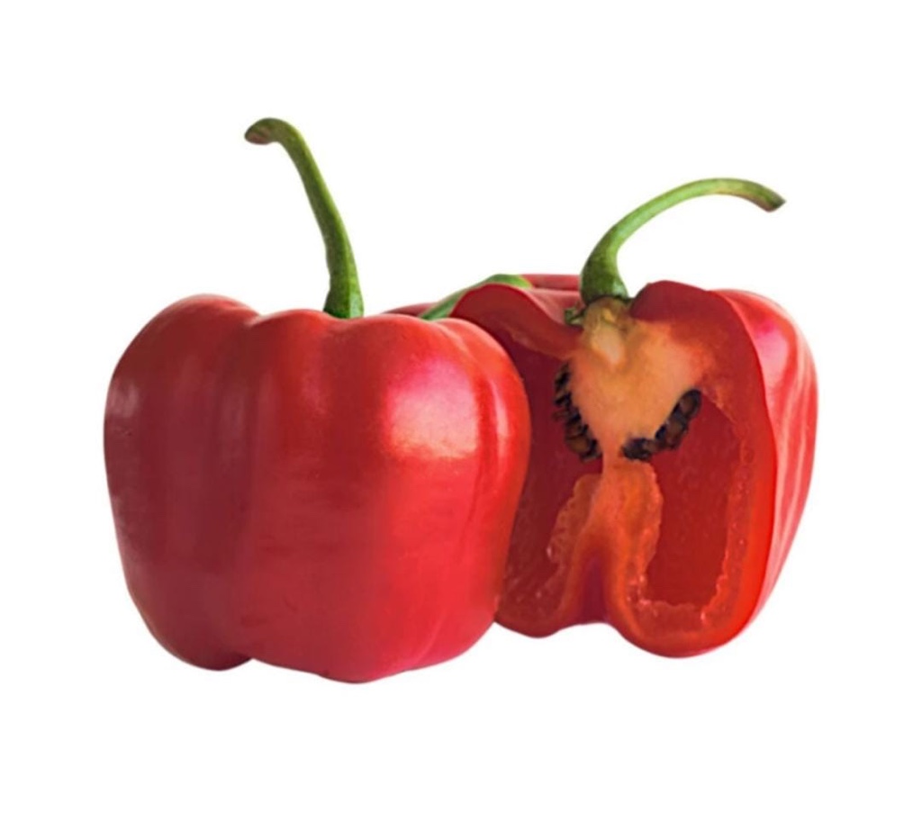 Rocoto rojo
