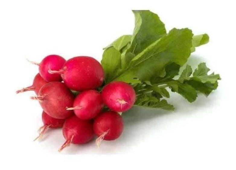 Rabanito