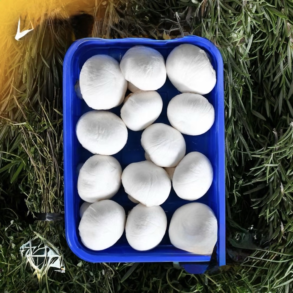 Champiñones