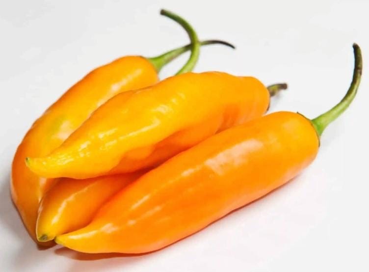 Ají amarillo