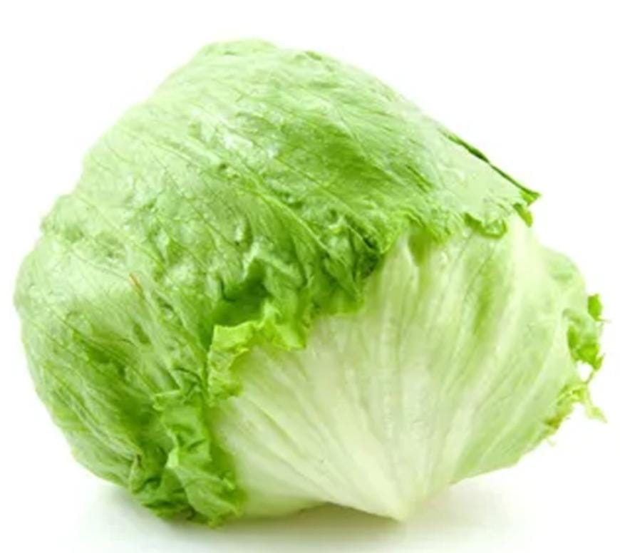Lechuga americana