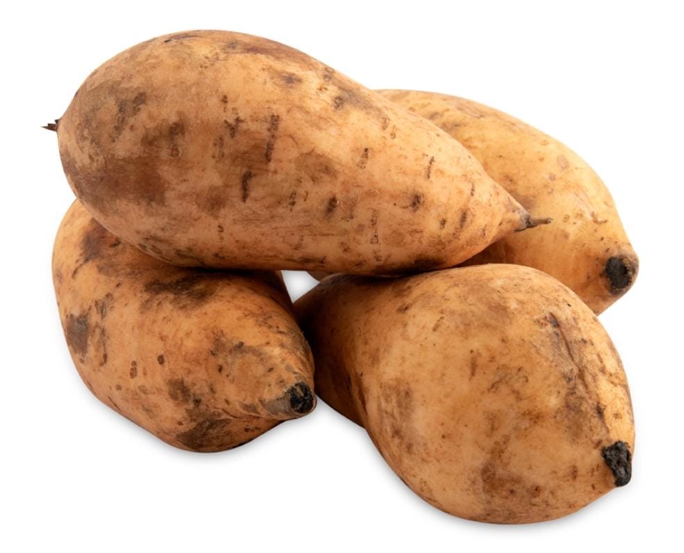 Camote amarillo