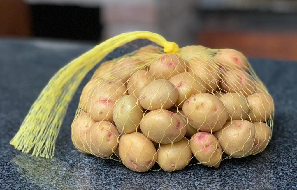Papa coptelera