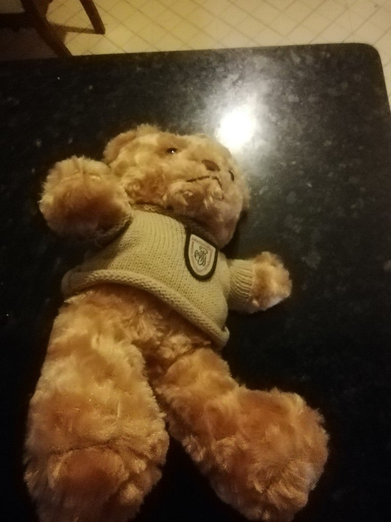 57-Urso castanho p