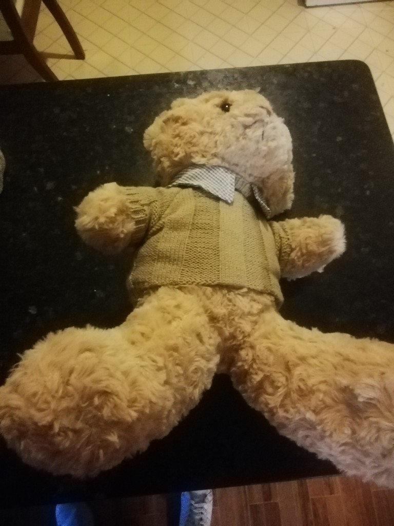 56-Urso castanho m