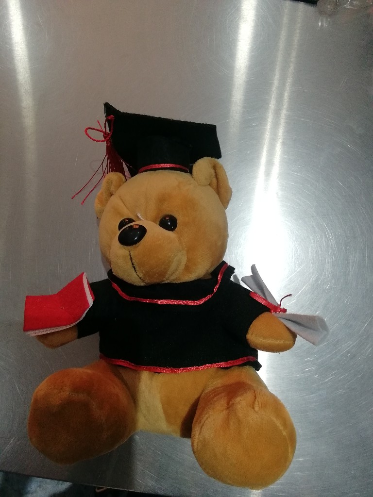 880-Urso tefica